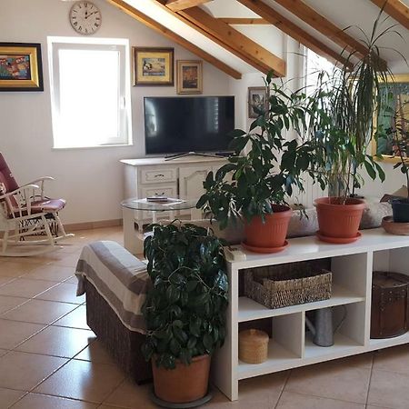 Apartment Varina دوبروفينك المظهر الخارجي الصورة